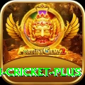 afghanistan cricket Ultimate PK v2.3.4