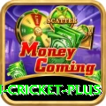 australian cricket King APK v4.4.2