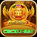 cricket bat Live Gold v4.2.6
