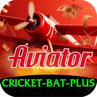 cricket bat Pro 2024 - 2