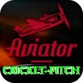 cricket pitch APK Extreme v4.2.7