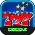 crickex Slot Machine Premium