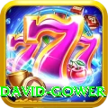 david gower Game Premium v3.8.9