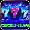 ireland cricket team Gold APK v5.6.9