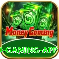 Pak77 Gold Gaming App