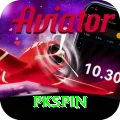 pkspin App King v5.7.2