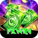 PKWin Max Pro v2.7.5