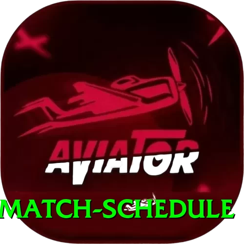 t20 match schedule - Premium v3.3.2 - 2