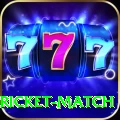 to day cricket match - Real Money Elite