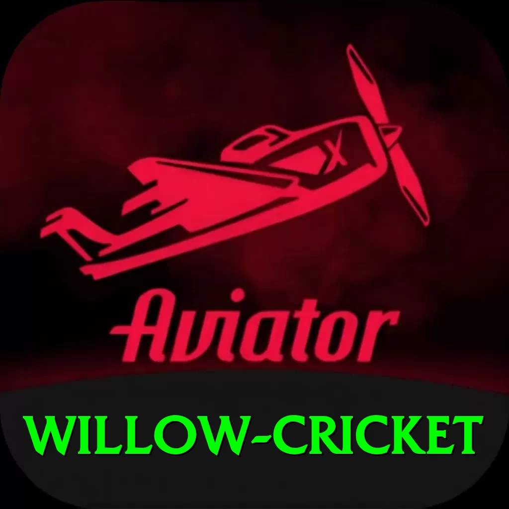 willow cricket APK Champion v1.4.0 - 2