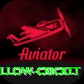 willow cricket APK Champion v1.4.0